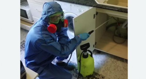 Уничтожение муравьев в квартире. Николаевск-на-Амуре