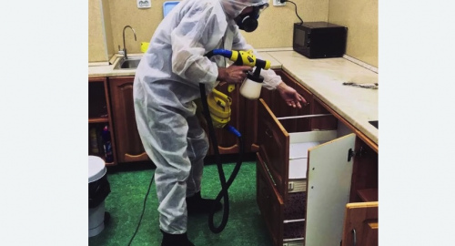 Уничтожение насекомых в квартире. Николаевск-на-Амуре