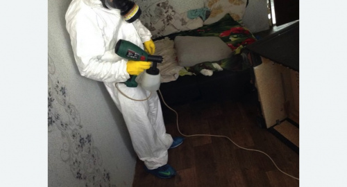 Обработка квартир от насекомых в Николаевске-на-Амуре