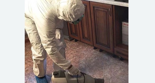 Уничтожение тараканов в квартире. Николаевск-на-Амуре