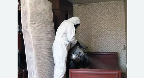 Дезинфекция от клопов в Николаевске-на-Амуре