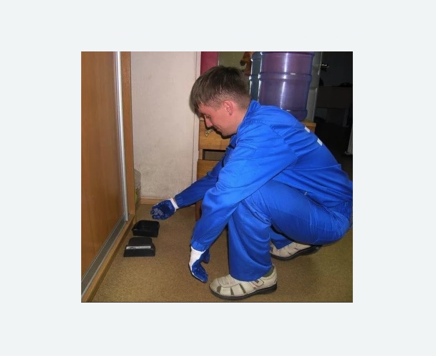 Дератизация крыс Дератизация крыс в Николаевске-на-Амуре