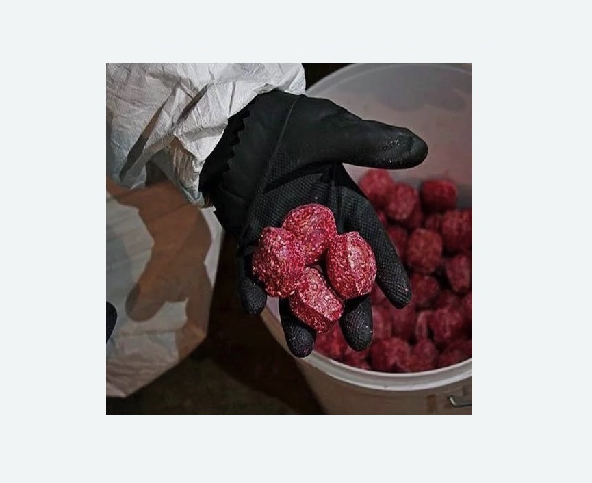 Обработка от крыс Обработка от крыс в Николаевске-на-Амуре