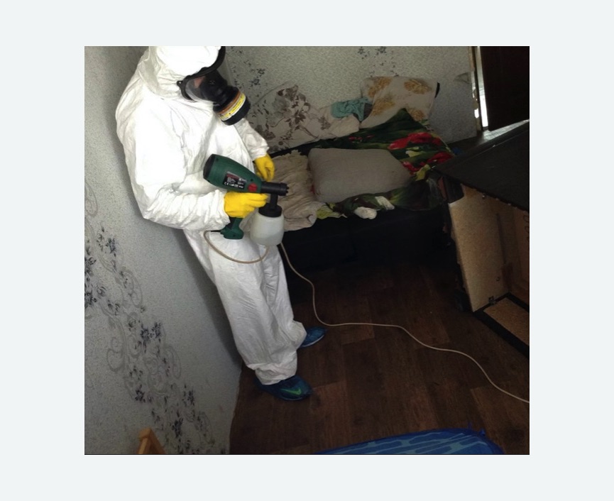 Обработка от насекомых в Николаевске-на-Амуре Обработка квартиры от насекомых
