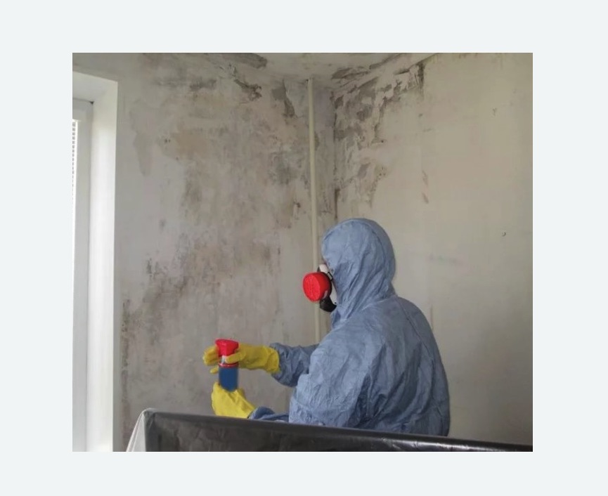 Удаление плесени в квартире в Николаевске-на-Амуре