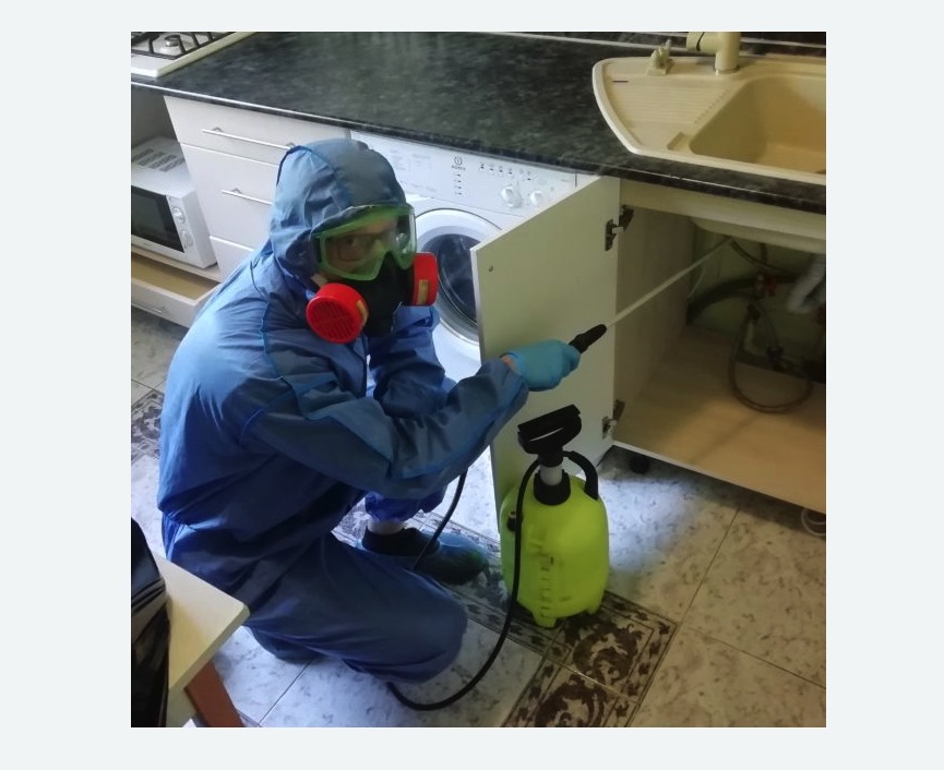 обработка от муравьев в квартире в Николаевске-на-Амуре