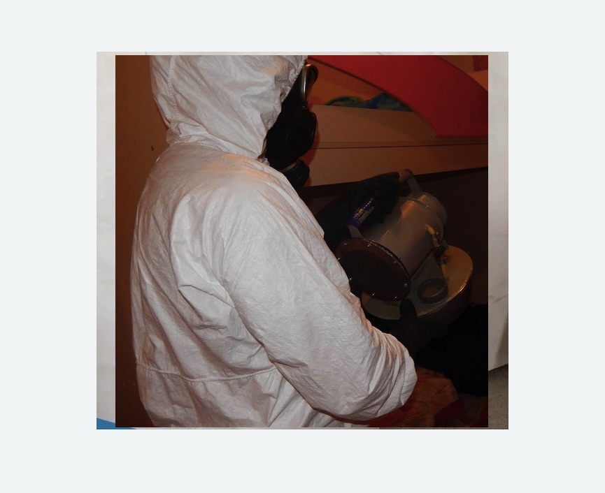 Дезинфекция от муравьев в Николаевске-на-Амуре